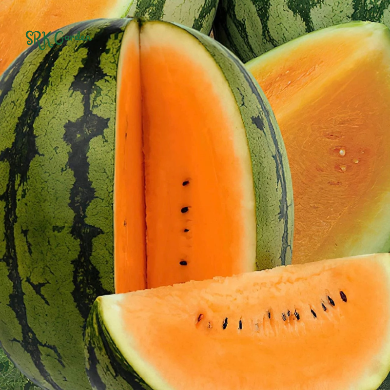 Vegetables - Melons & Watermelons