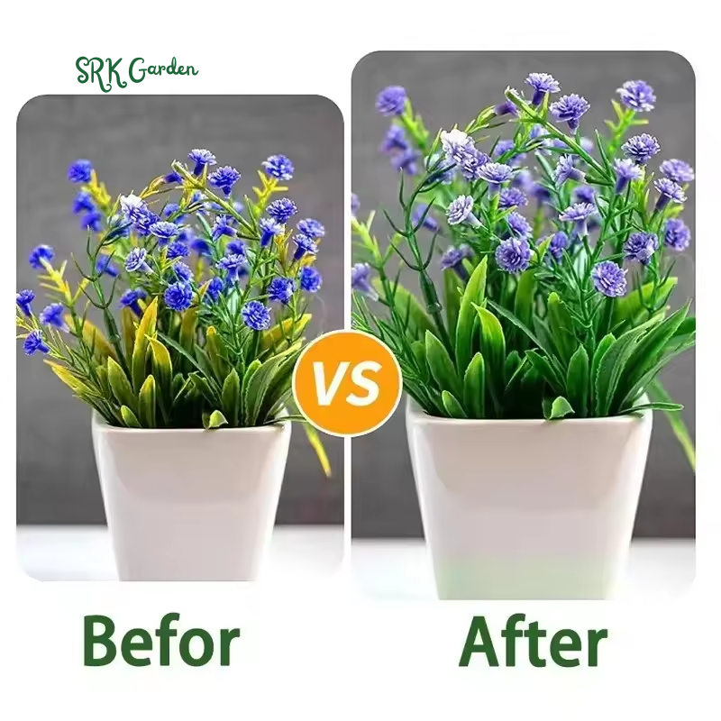 Plant Care
