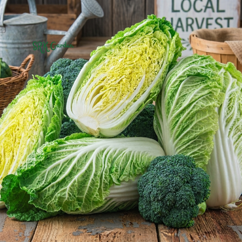Vegetables - Leafy Greens & Brassicas