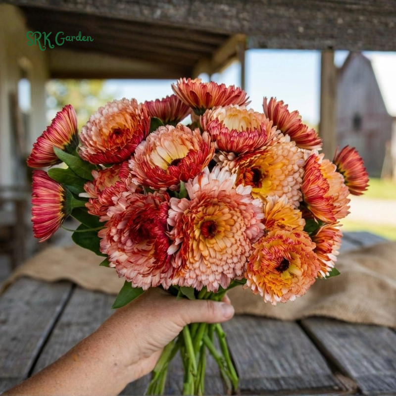 Flowers - Cut & Fragrant Flowers