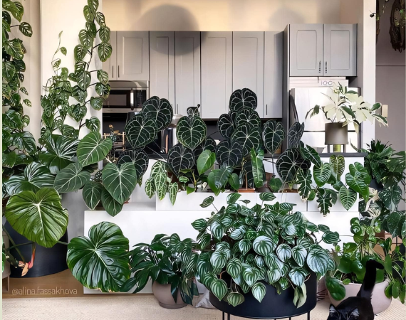 Best-Selling Plants by Season
