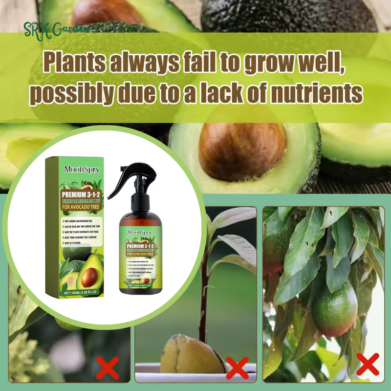 Plant Care