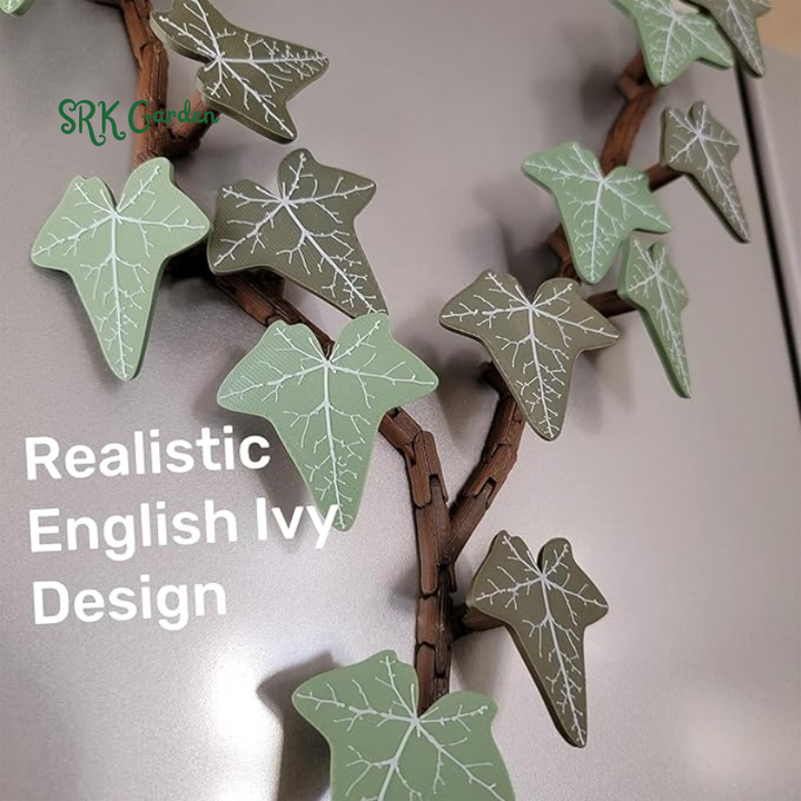 English Ivy Fridge Magnet with Articulating Stems (18 Ivy Leaves, 3 Stems, Y Connector)