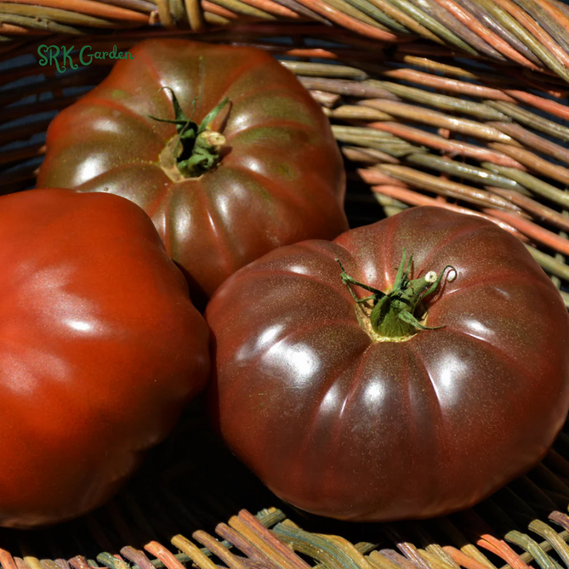 Tomato Seeds Cherokee Purple | 60 Seeds
