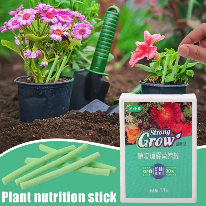 Plant Slow-release Sticks Nutrient Universal Indoor Potted | Flower Pot Plants Fertilizer