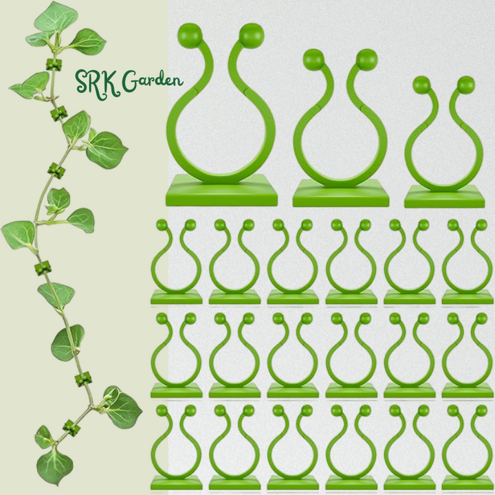 Plant Wall Clips for Climbing Plants 110 Pcs - Large, Medium, and Small Sizes