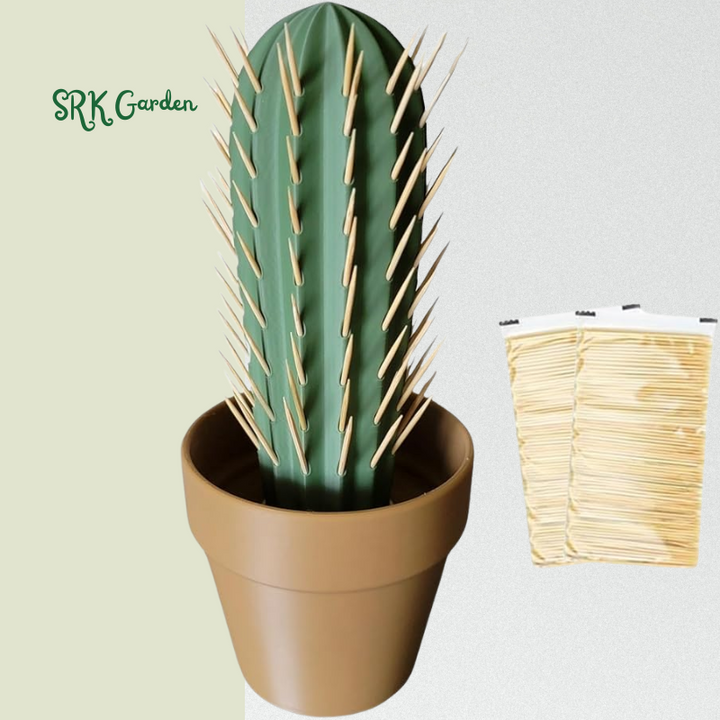 Cactus Toothpick Dispenser 3D Printed