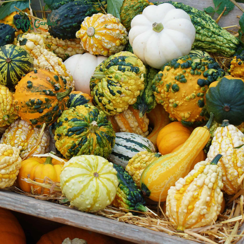 Vegetables