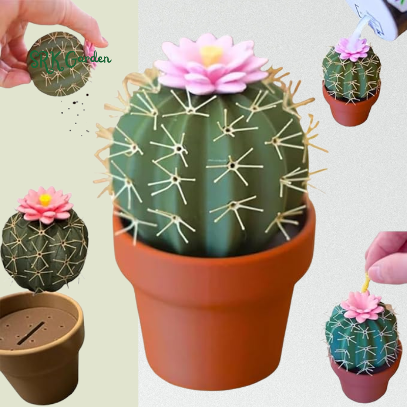 New Cactus Seasoning Cup, Pepper Removable Interesting Kitchen Seasoning Tool