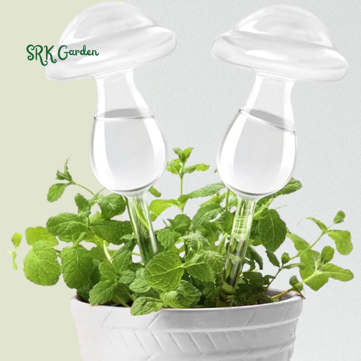 Hand Blown Clear Glass Self Watering Globes | 2 Mushroom