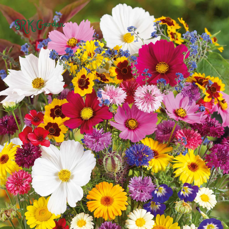 FLOWERS