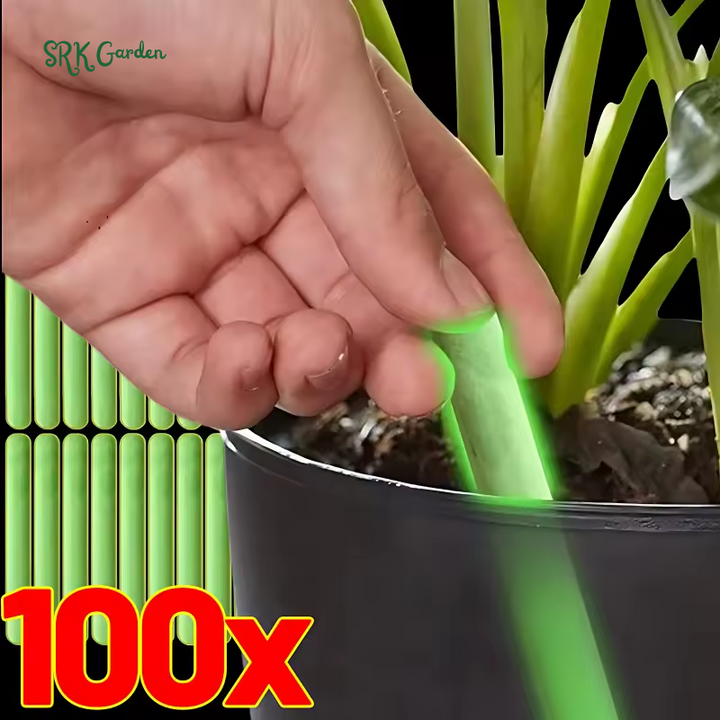 Plant Slow-release Sticks Nutrient Universal Indoor Potted | Flower Pot Plants Fertilizer