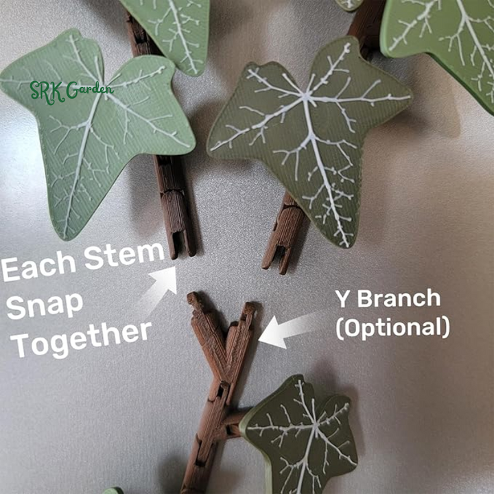 English Ivy Fridge Magnet with Articulating Stems (18 Ivy Leaves, 3 Stems, Y Connector)