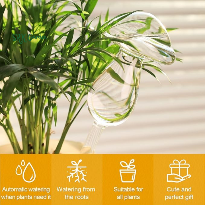 Hand Blown Clear Glass Self Watering Globes | 2 Mushroom