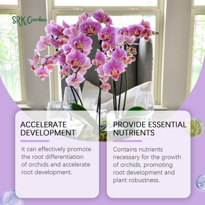 50ml Orchid Special Liquid Flower Fertilizer Hydroponic