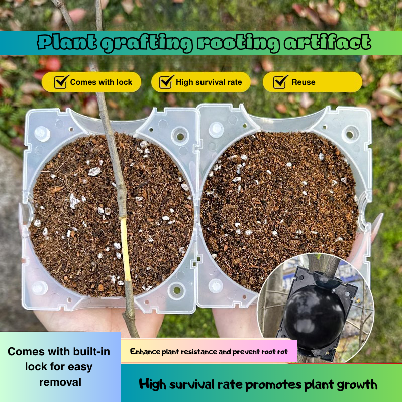 High Pressure Propagation Root Growing | Plant Rooting Ball Reusable Cutting