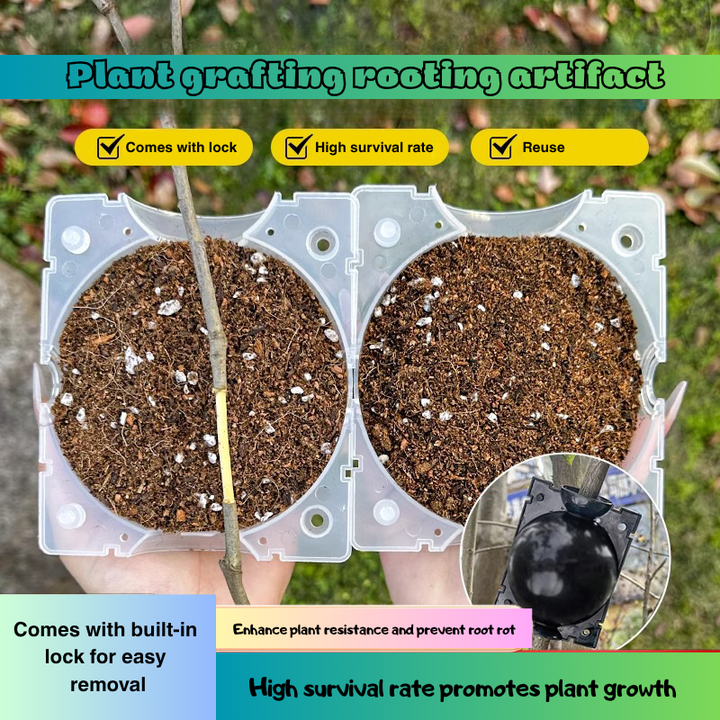 High Pressure Propagation Root Growing | Plant Rooting Ball Reusable Cutting