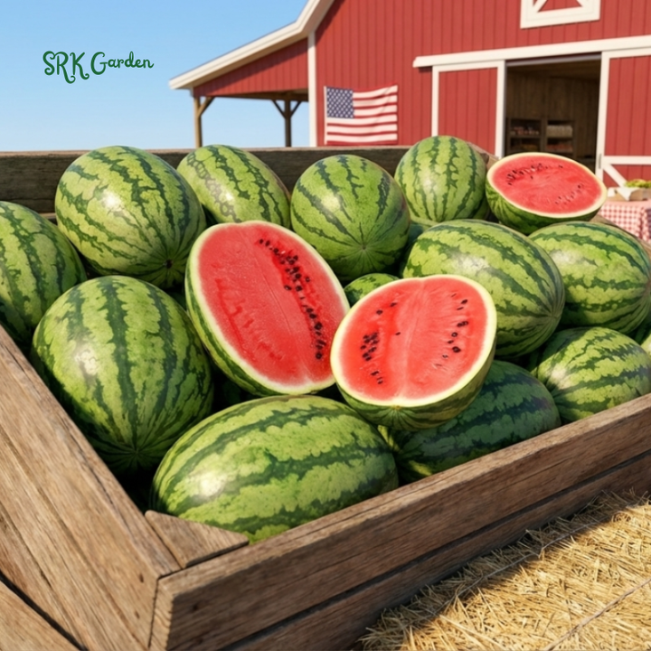 15+ Crimson Sweet Watermelon Seeds