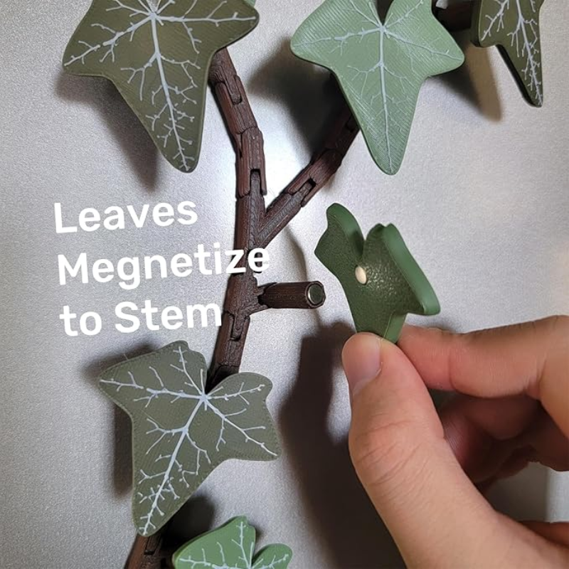 English Ivy Fridge Magnet with Articulating Stems (18 Ivy Leaves, 3 Stems, Y Connector)