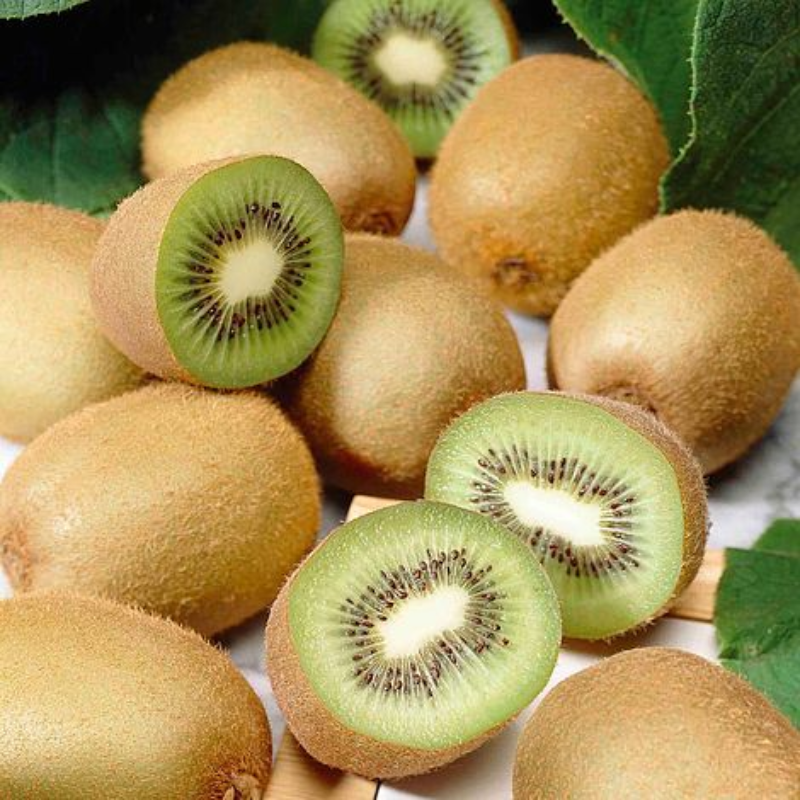 Kiwi Fruit Tree - Live Plant Actinidia Deliciosa - Beautiful Edible Vining Fruit Bearing Tree for Patio and Garden