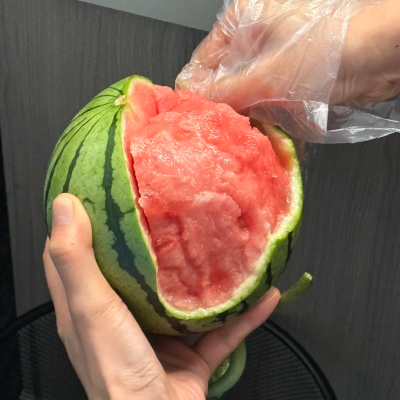 Sugar Baby Watermelon Seeds for Planting | 25 seeds