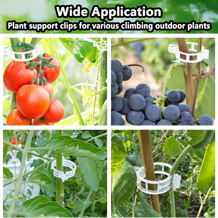 Tomato Clips for Climbing Plants - Plant Support Clips 120 Pack