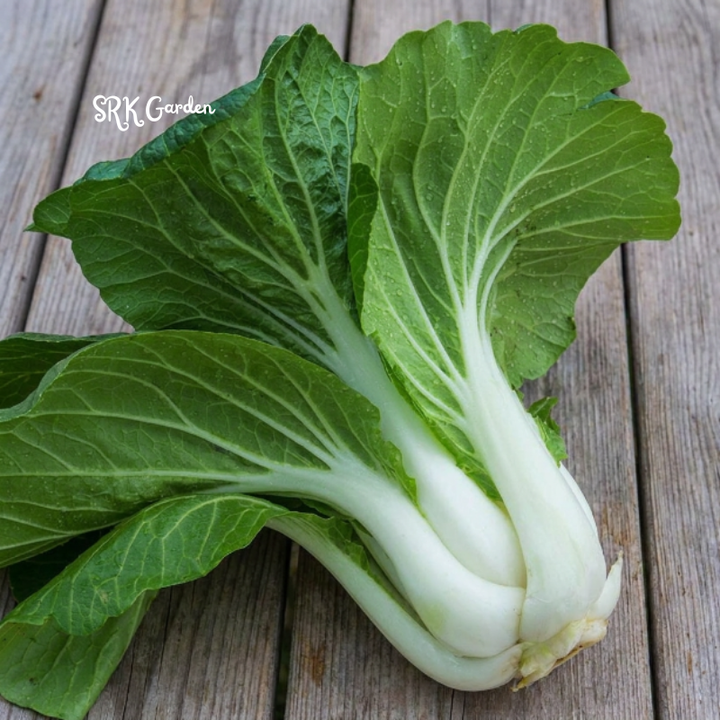 Pak Choi Chinese Cabbage White Stem | 150+ Seeds