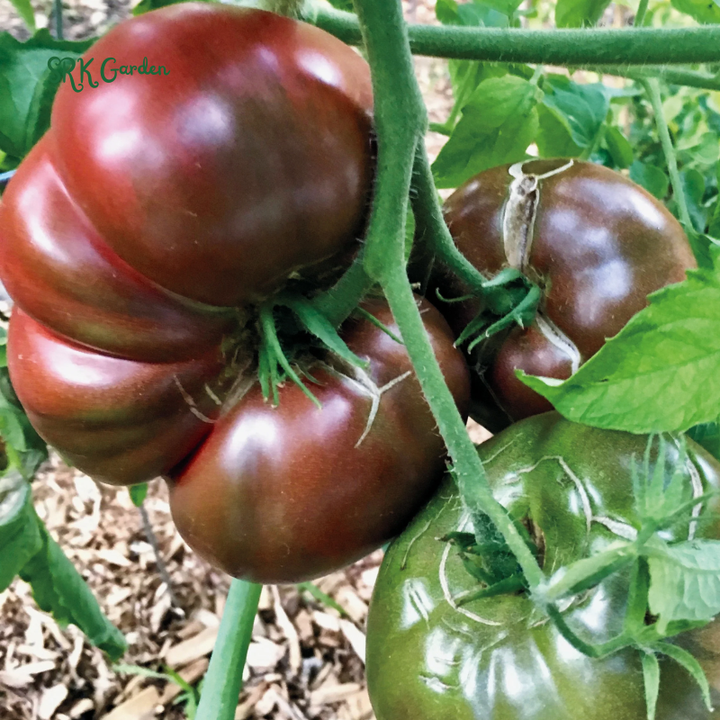 Tomato Seeds Cherokee Purple | 60 Seeds