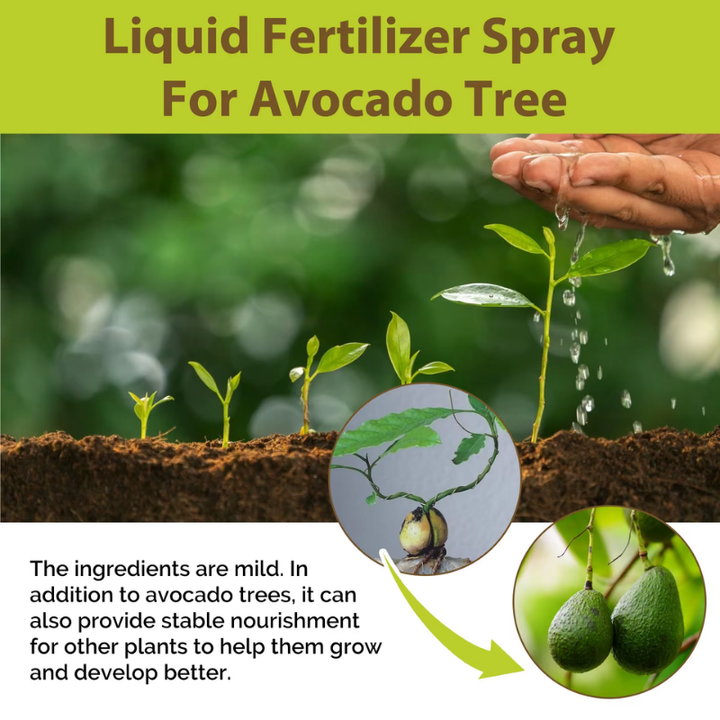 Avocado Tree Fertilizer Vital Health Food Nutrient Gardening Blend Fertilizer Leaf Growth Supplement Plant Liquid Organic Spray