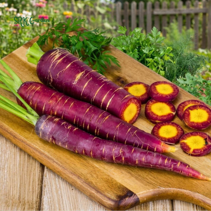 150+ Cosmic Purple Carrot Seeds