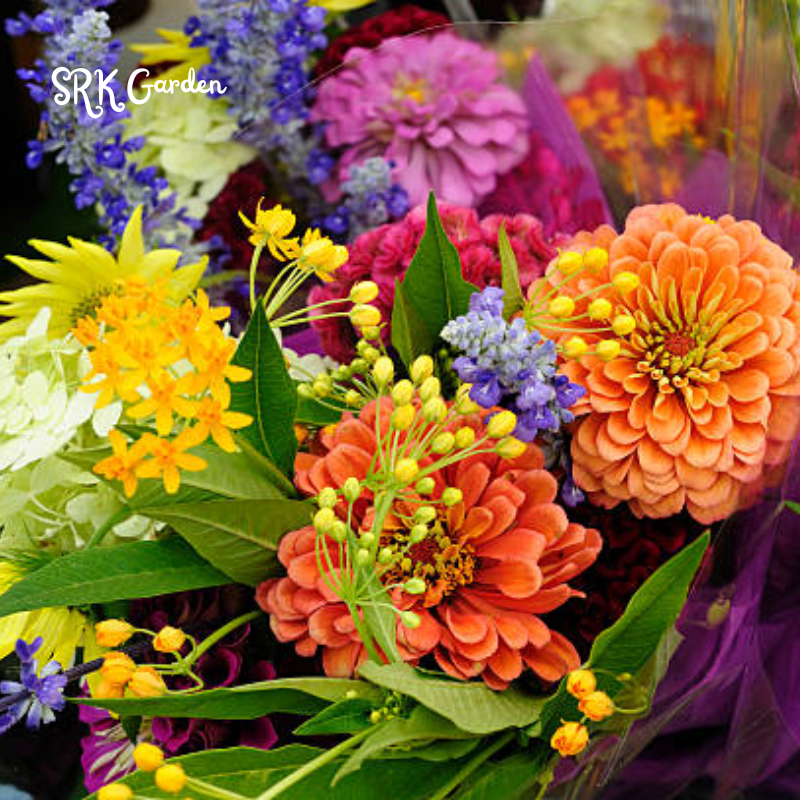 Over 60+ kinds Mixed Flowers Seeds, Perennial Wildflower Seeds, Year-around Planting