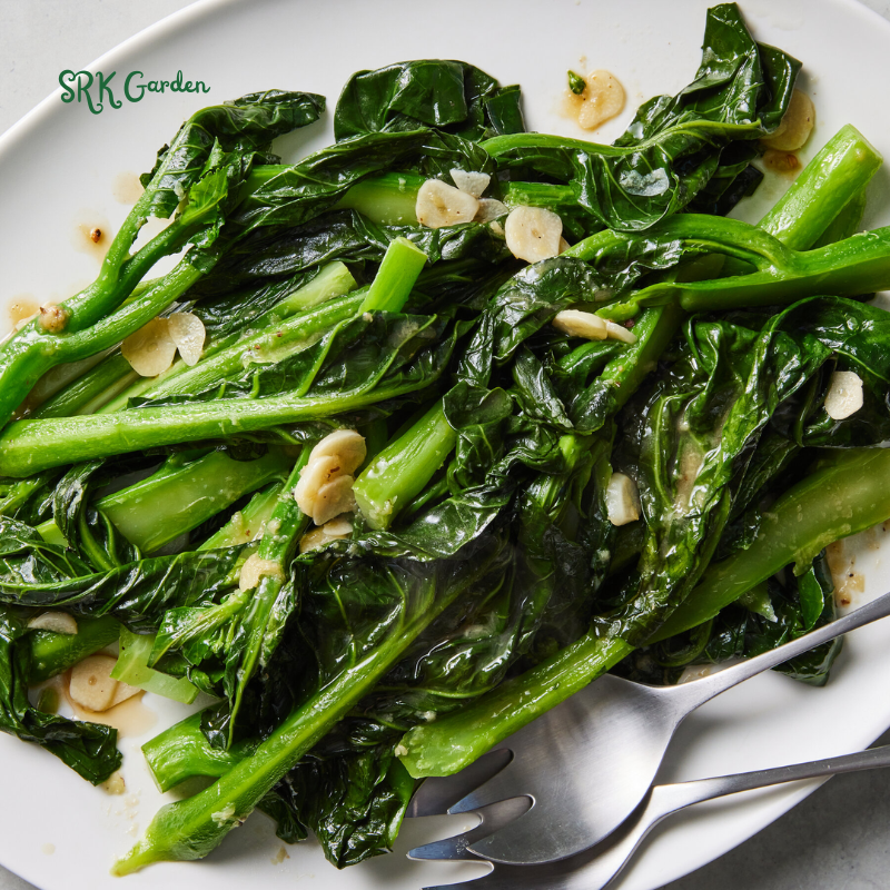 Chinese Broccoli - Kailaan | 100 Seeds