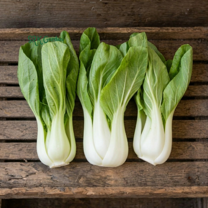 Pak Choi Chinese Cabbage White Stem | 150+ Seeds