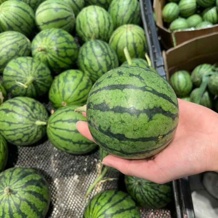 Sugar Baby Watermelon Seeds for Planting | 25 seeds