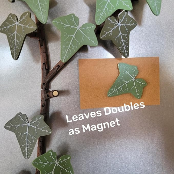 English Ivy Fridge Magnet with Articulating Stems (18 Ivy Leaves, 3 Stems, Y Connector)