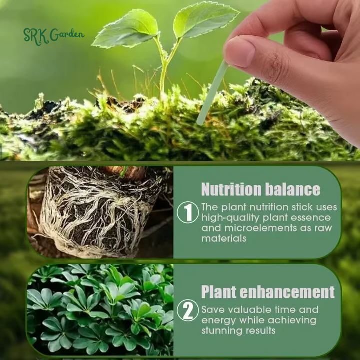 Plant Slow-release Sticks Nutrient Universal Indoor Potted | Flower Pot Plants Fertilizer