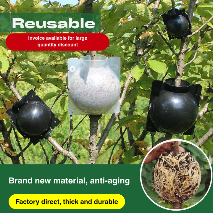High Pressure Propagation Root Growing | Plant Rooting Ball Reusable Cutting