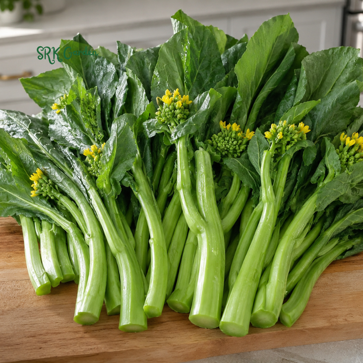 800+ Yu Choy Sum (Jung Green) Seeds