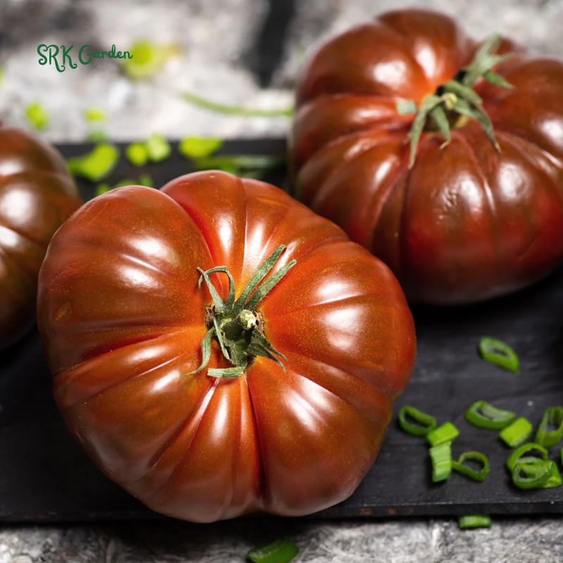 Tomato Seeds Cherokee Purple | 60 Seeds