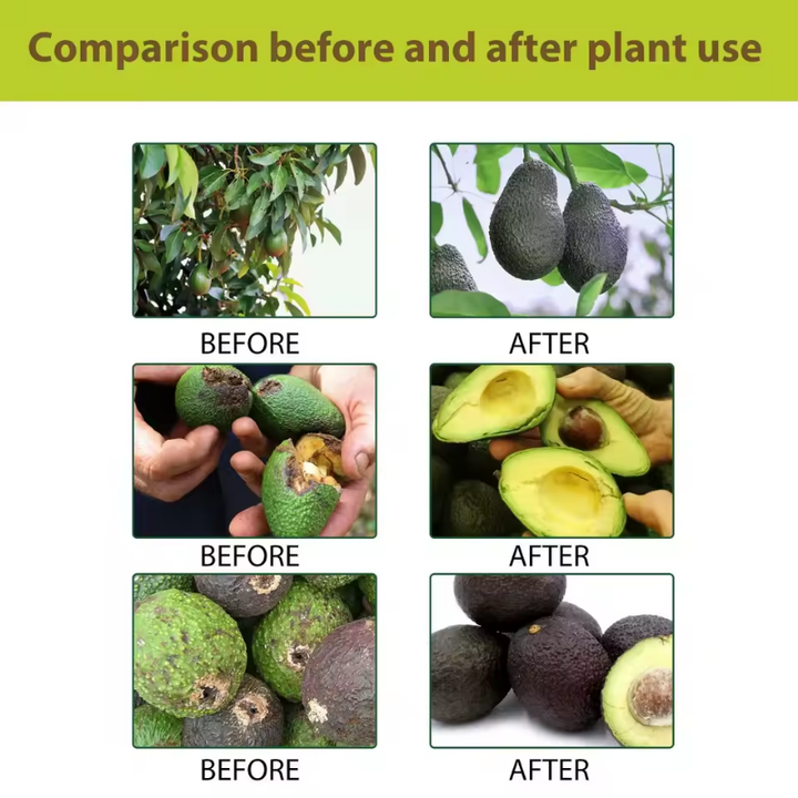 Avocado Tree Fertilizer Vital Health Food Nutrient Gardening Blend Fertilizer Leaf Growth Supplement Plant Liquid Organic Spray