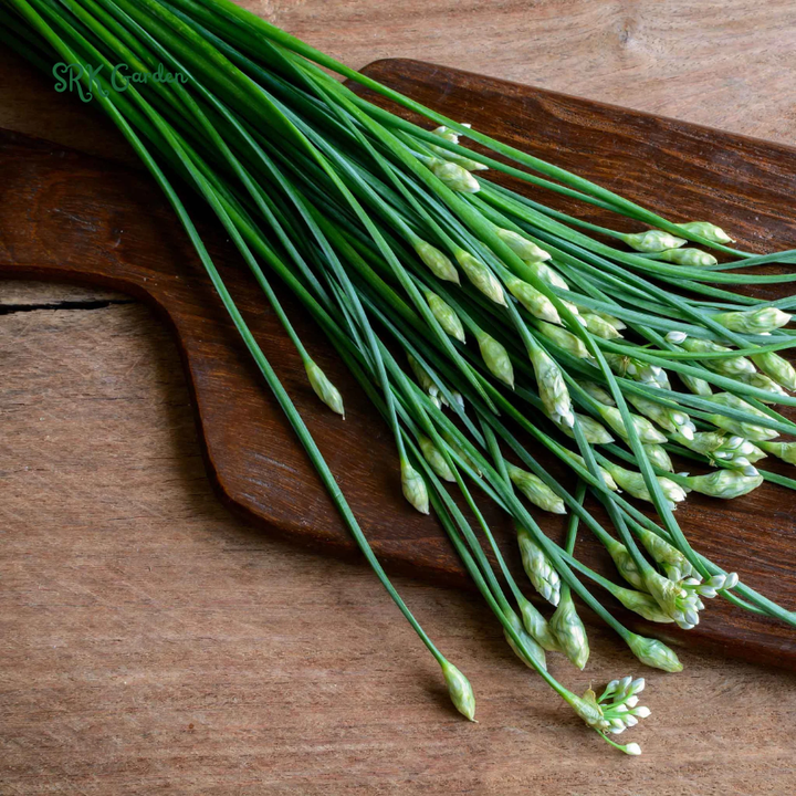 Garlic Chives Seeds | 200 Seeds