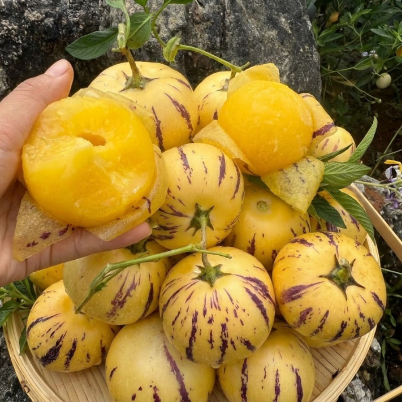Pepino Melon Seeds for Planting - Non-GMO Heirloom Plant Seeds