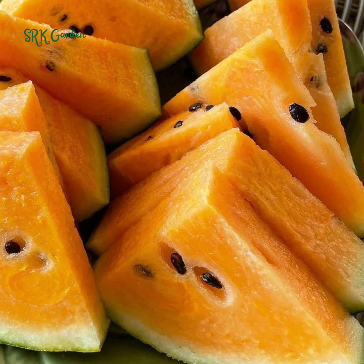 Organic Orange Tendersweet Watermelon | 15 Seeds
