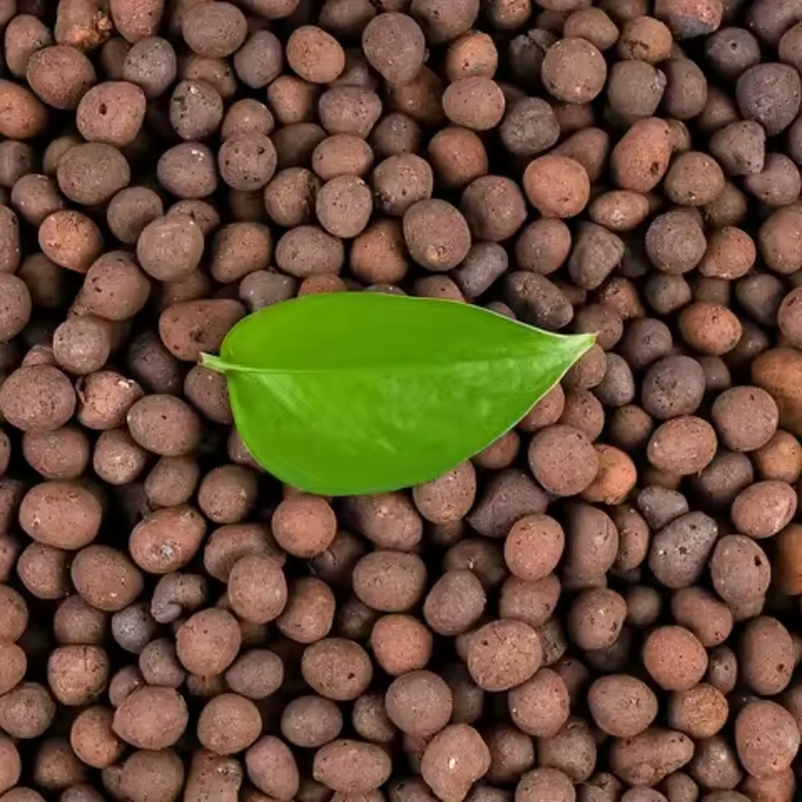 Reusable Hydroponic Clay Pebbles Natural For Gardening