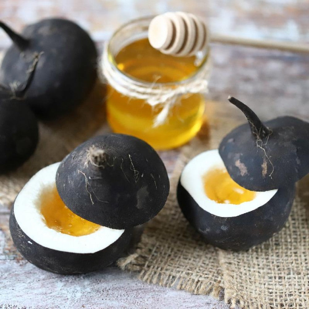 250+ Black Spanish Round Radish
